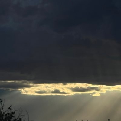 SOELCYBOYZ's profile picture. 