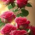 && ASLI && (@asli46186025) Twitter profile photo && ASLI && (@asli46186025) Twitter profile photo