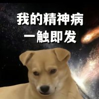 鹅鹅饿饿 (@braised_goose) 's Twitter Profile Photo