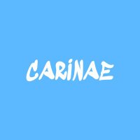 CARINAE(@carinaeclothing) 's Twitter Profile Photo