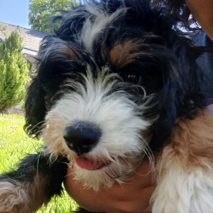 biffalothe3rd's profile picture. 25, Which was the style at the time
UCI 2020