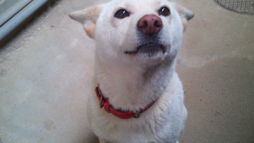 hiro0sleepyhead's profile picture. 長崎大学ロンロック6年いました。sleepyheadってバンドで活動、good girl badのサポートしてました。さすがに社会人なろうと思って就職したら会社潰れて現在家業の手伝い&BxMxIドラム