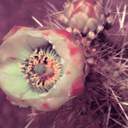 Crystal Biggs-Slusse - @CrystalBigg - Twitter