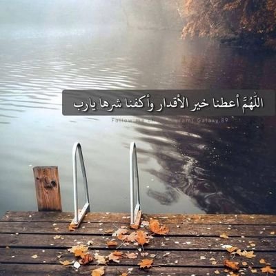 من تعز العز