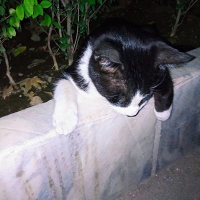 mustafa_salimi's profile picture. وقتی جرمی بدون مجازات  می مونه.. تعادل دنیا بهم میخوره
 مرگ بر حکومت اسلامی ایران
مرگ بر خامنه ای