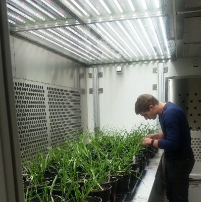 Plant ecophysiologist at @dbgphx working in @HultineLab | heat stress, photosynthesis, respiration | mediocre backyard cricketer