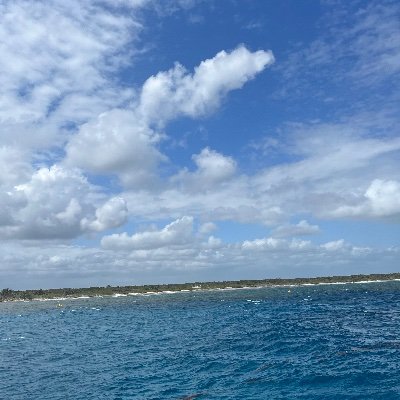 kgriff42's profile picture. 