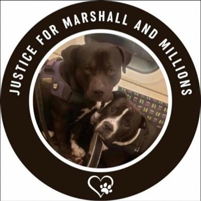 jane_oobrien1's profile picture. WORLD PIECE