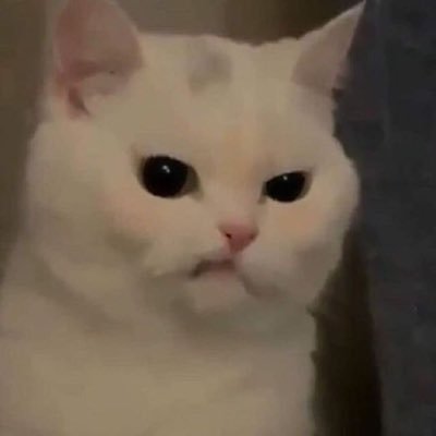 zeyynepEr_'s profile picture. kişisel isyanlar