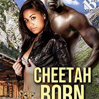 Writer #romance #paranormal #contemporary #interracial #shifters. Wife, mom, veteran. Romance genre reader. #lovecomesinallshades