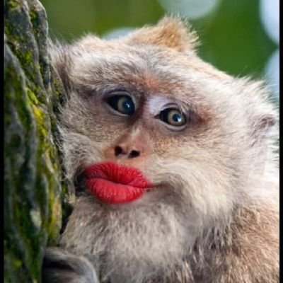 ReyerOlado82312's profile picture. 
