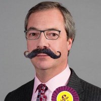 Niggel Farage 🇪🇺🏳️‍🌈🇺🇦 #FBPE #GTTO(@BrexitFailed) 's Twitter Profile Photo