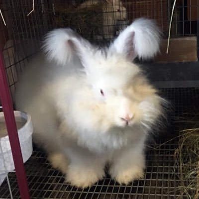 마이클さんのプロフィール画像
