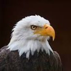 Tom B 🇺🇸 (@tlb3047) 's Twitter Profile Photo Tom B 🇺🇸 (@tlb3047) 's Twitter Profile Photo