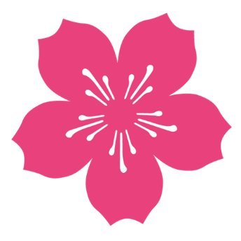 National Cherry Blossom Festival 🌸 Profile