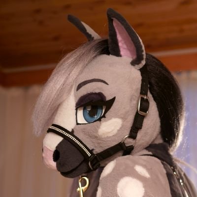 NSFW Suit/ Art account | she/her | NO MINORS 🔞
Dapple grey andalusian mare 🐎 bi & switch
💙 Suit made by lisanotuspaja IG