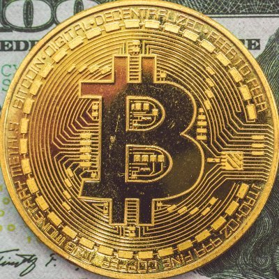 DearmanGoo58007's profile picture. 