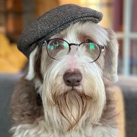 Dubber (@dubber) 's Twitter Profile Photo Dubber (@dubber) 's Twitter Profile Photo