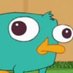 Perry the platypus (@bertmachlinfbi) Twitter profile photo Perry the platypus (@bertmachlinfbi) Twitter profile photo