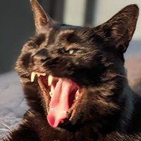 Ry (@generationry) 's Twitter Profile