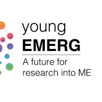 Young European ME Research Group(@YoungEmerg) 's Twitter Profile Photo