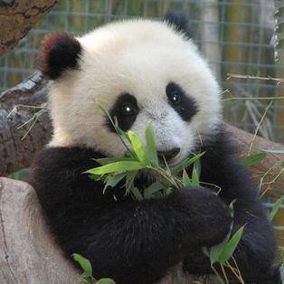 Michael32734678's profile picture. Just someone who occasionally tweets..