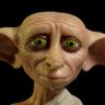 Dobbylvsharryp's profile picture. Dobby loved Harry Potter
