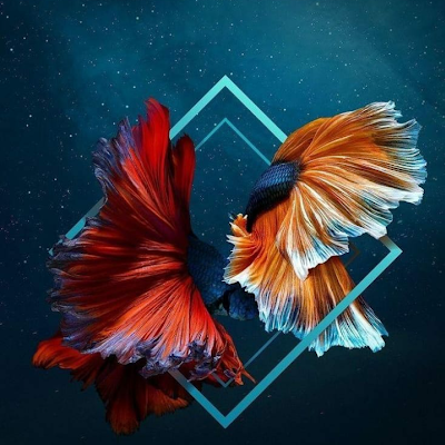 StevenF89891341's profile picture. 