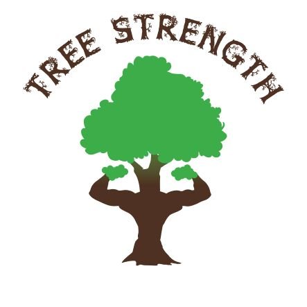 Treestrength81's profile picture. Tree strength is an organization that is mainly engaged in the production and sale of organic products in West Africa and build a future for the new generation.