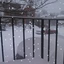 Barbara Barry - @BarbaraBar3131 - Twitter