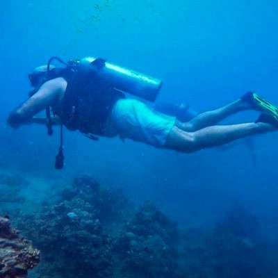 Paulodcparaty's profile picture. 