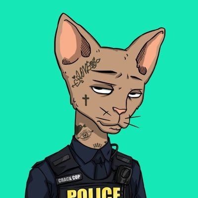 jexeyej74567's profile picture. 