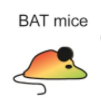 Arnon Lab (@arnongroup) 's Twitter Profile