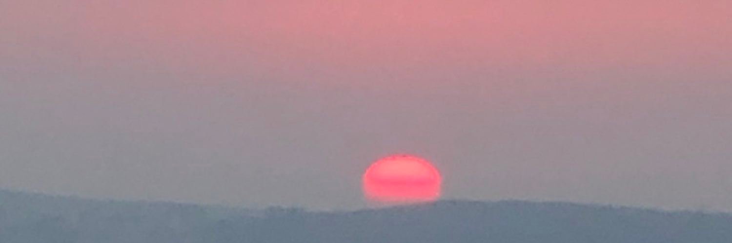 lijebat65528's profile picture. 