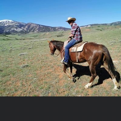 CescaYahoo's profile picture. 