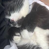 magda (@magdakroll) 's Twitter Profile