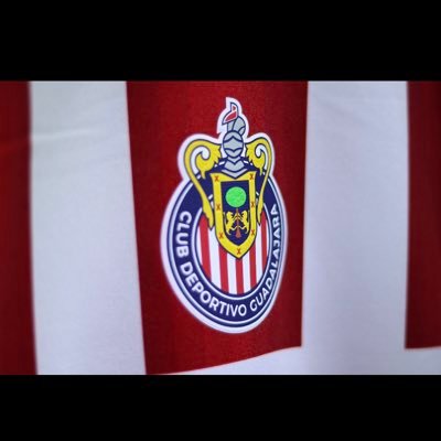 alvarillo79's profile picture. 