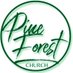 Pine Forest Methodist Church (@pineforest_dub) Twitter profile photo Pine Forest Methodist Church (@pineforest_dub) Twitter profile photo