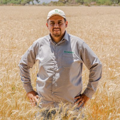 EdgarTorresMuo1's profile picture. Especialista en Agronegocios por CIMMYT, cadenas de valor y desarrollo de mercados de originación.