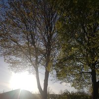 Alexander Haupert (@alexanderh37321) 's Twitter Profile