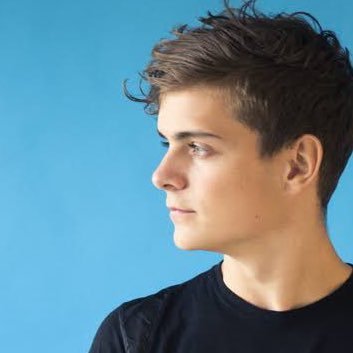 @MartinGarrix / Miszeltraper / Music→@irismusic__ /サブ→@srbija_suki