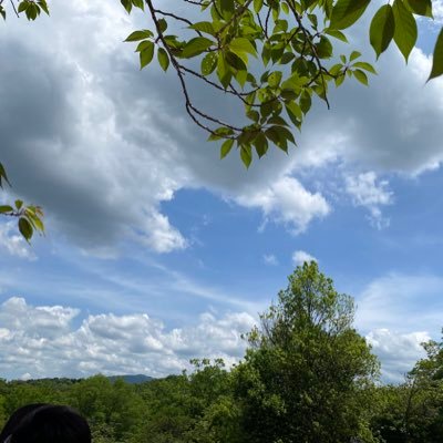 shiramov's profile picture. 【寺子屋🏡子ども・動画編集】