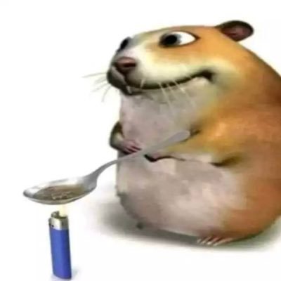 plantainluver's profile picture. 🤯