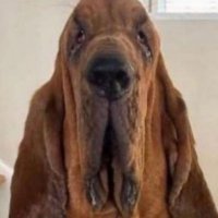 Cramox. (@cramox_rl) 's Twitter Profile