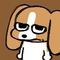 男路人厨さんのプロフィール画像