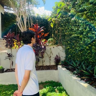 joaopedrocorce1's profile picture. 