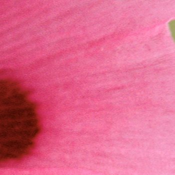 zxamb64951427's profile picture. 