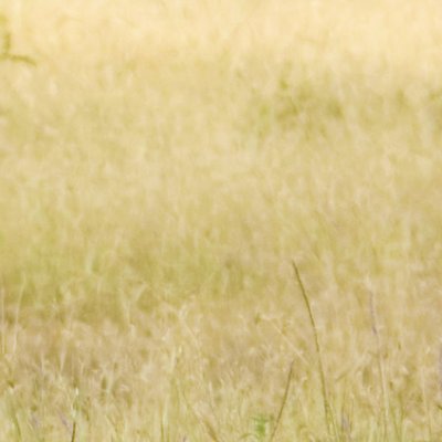 umibz79933381's profile picture. 