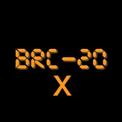 🔥 Bitcoin #BTC Ordinals and #BRC20 || #ERC20 || #BNBChain || Entrepreneur || Trader || Crypto Investor 🔥