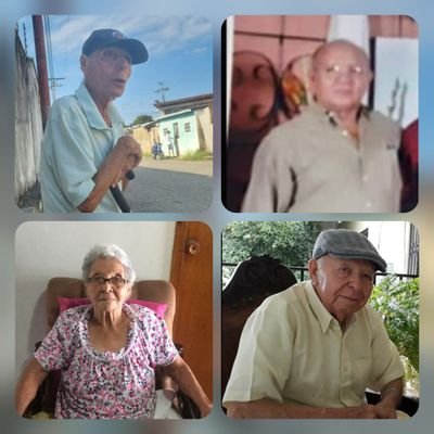 NILVITA's profile picture. Ten cuidado con lo que deseas, todo se vuelve Realidad 🌸 amo a mi Venezuela♥️ por eso me quedo.